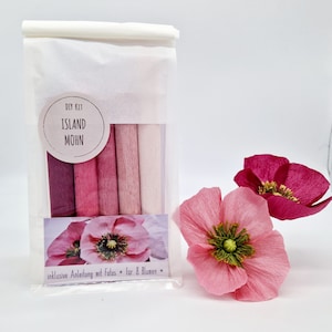 Peut inclure: Un kit de bricolage pour créer des fleurs en papier, contenant des rouleaux de papier crépon rose de différentes nuances. Le kit est dans un sac transparent avec l'étiquette "DIY KIT ISLAND MOHN". Deux fleurs en papier roses et rouges sont également visibles.