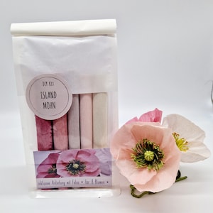 Op de afbeelding: Een doe-het-zelf-kit voor het maken van papieren klaprozen. De kit bevat rollen crêpepapier in roze en witte tinten, met een afgewerkte papieren klaproos ernaast. Het label leest "DIY KIT ISLAND MOHN" en "inklusive Anleitung mit Fotos * für 8 Blumen".