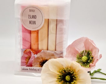 Papavero dell'isola realizzato in carta crespa in un kit fai da te / Kit di artigianato per 8 fiori / Papavero dell'isola realizzato in carta crespa in un kit fai da te