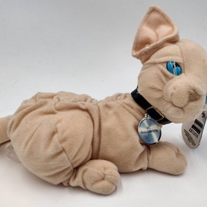 1998 Mr. Bigglesworth Austin Powers Plush Beanie Famous Hairless Cat Dr. Evil Collectible Vintage Movie Icon Talking Stuffed Animal Etsy Australia