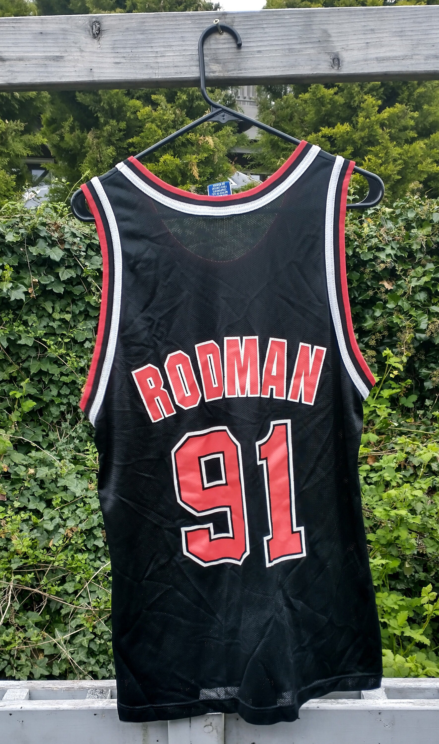 champion rodman jersey