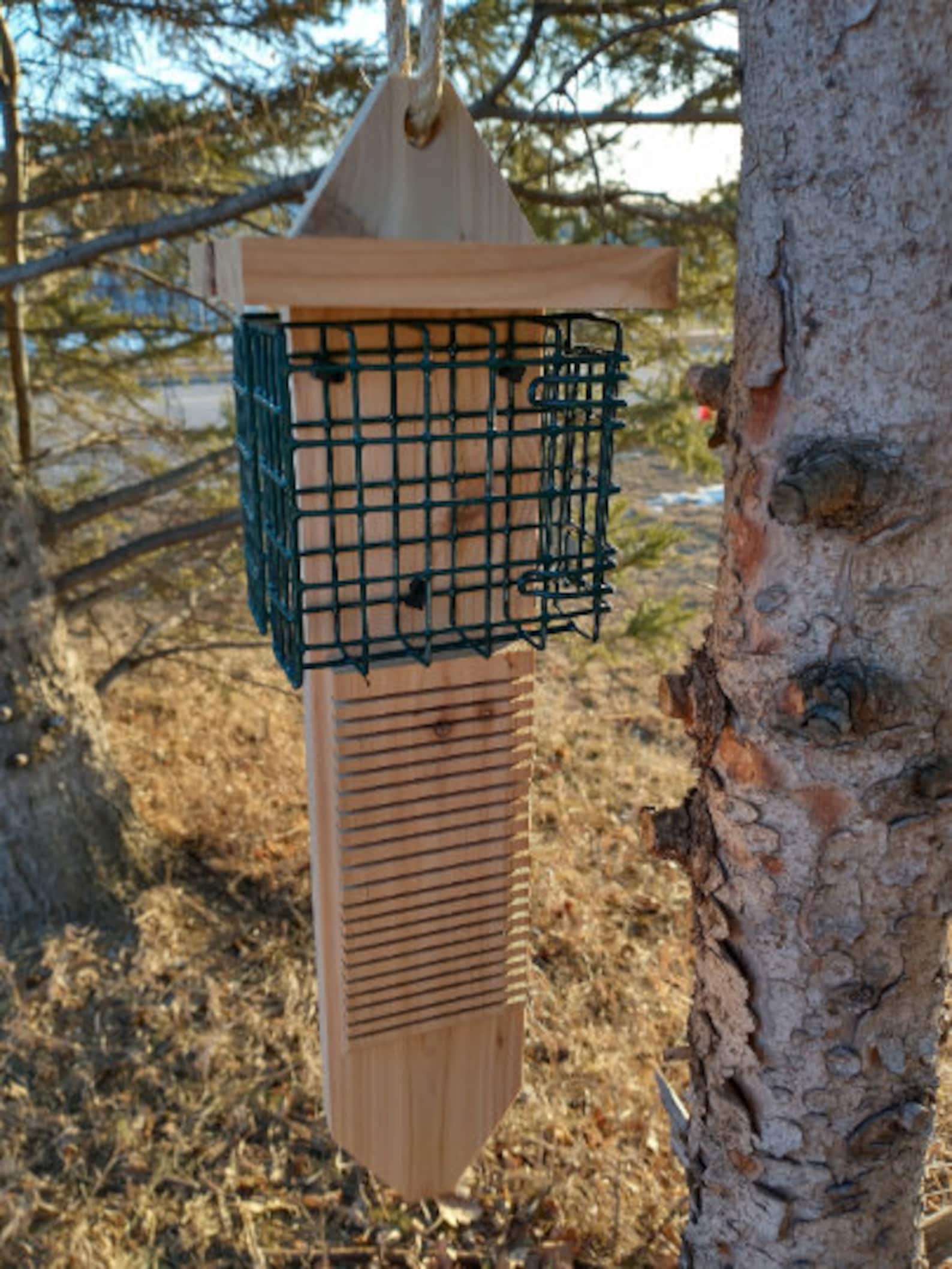 Dual Sided Pileated Woodpecker Suet Feeder With Tail Prop Etsy