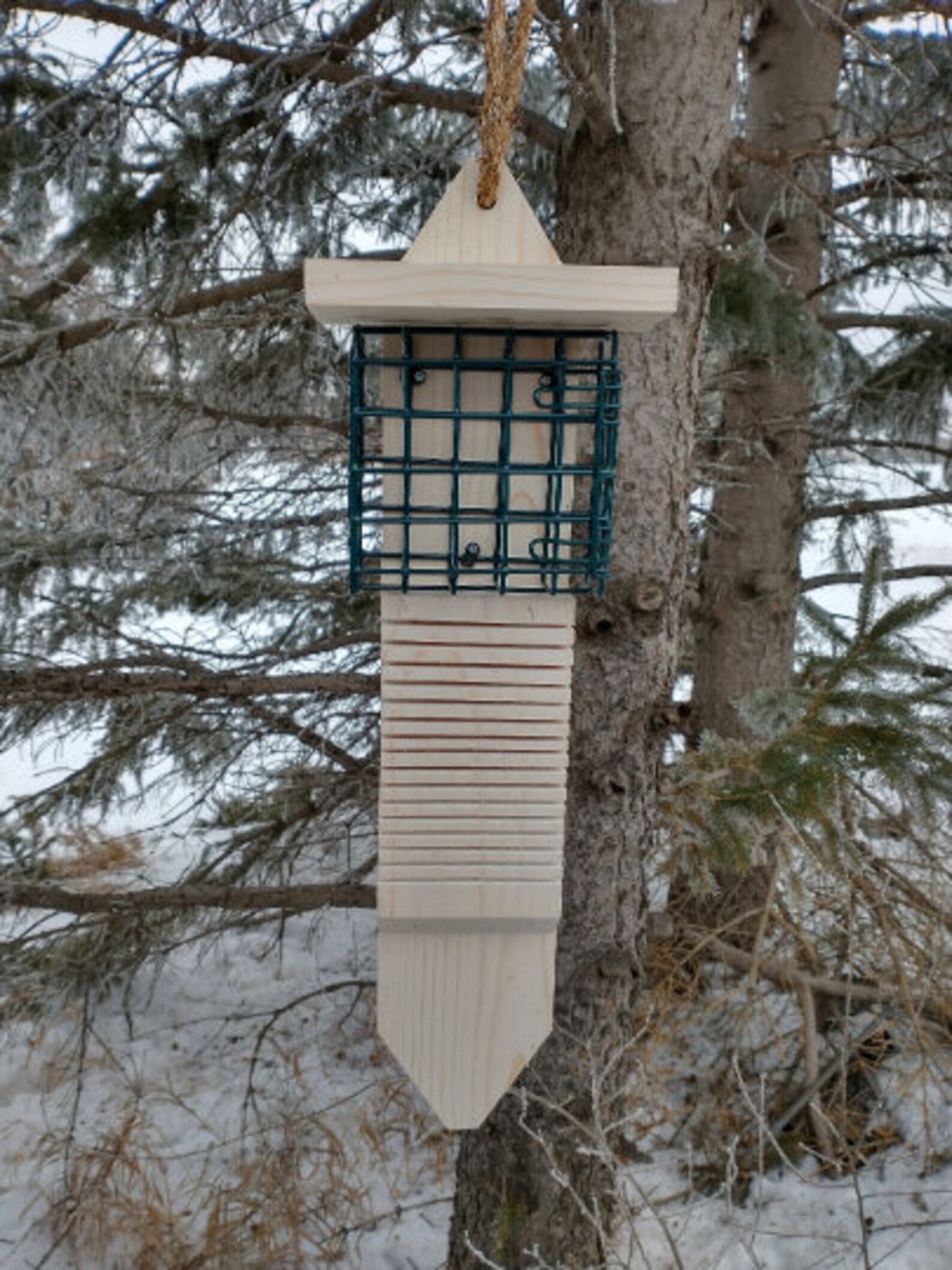 Single Sided Pileated Woodpecker Suet Feeder With Tail Prop Etsy