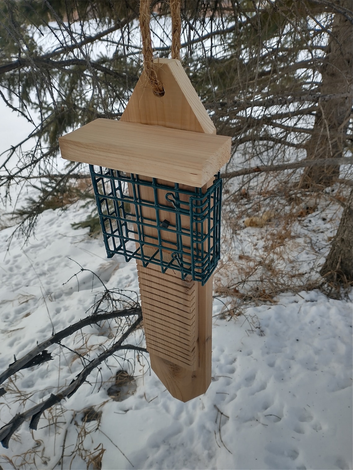 New Single Sided Pileated Woodpecker Suet Feeder With Tail Etsy