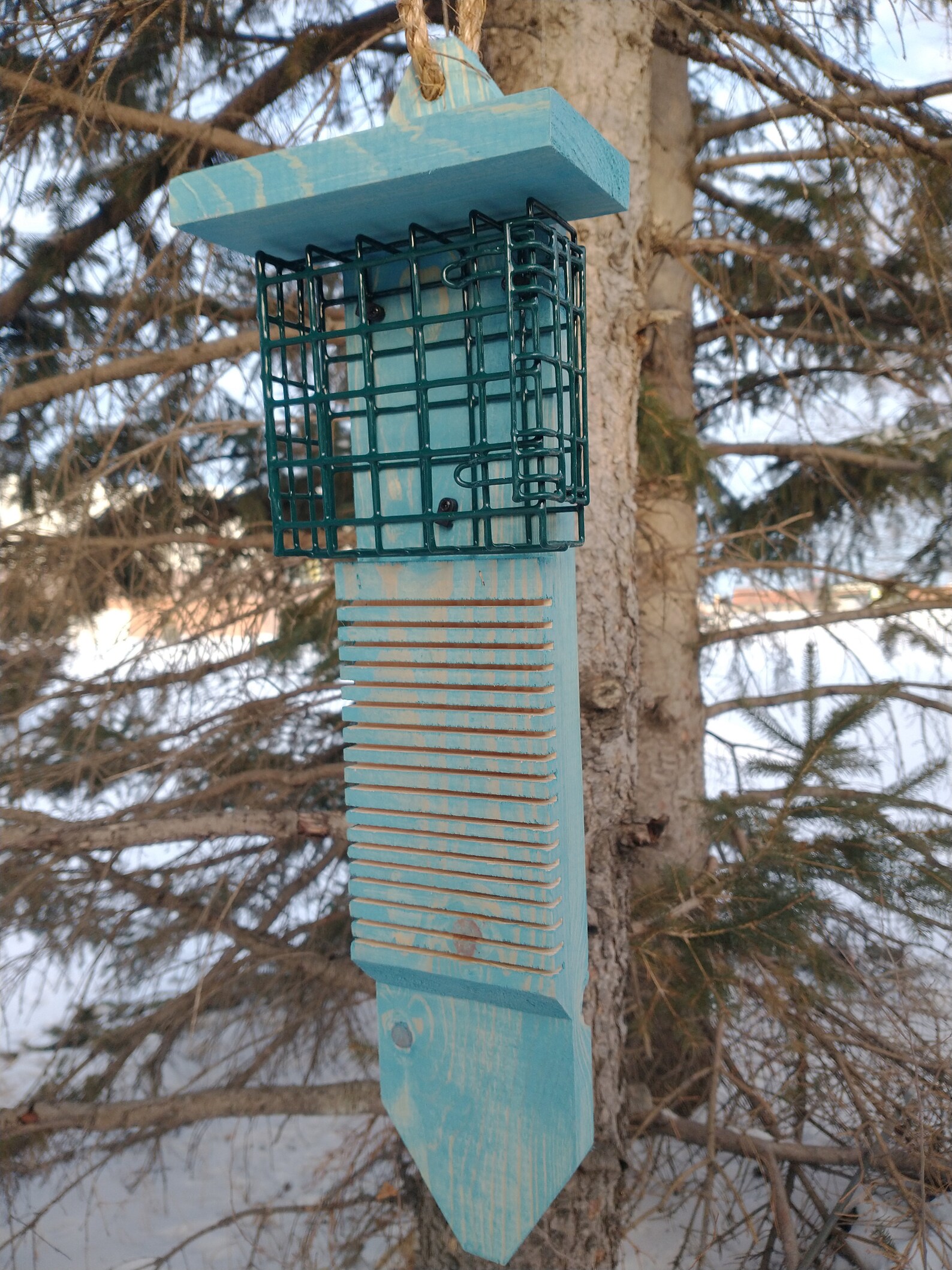 New Single Sided Pileated Woodpecker Suet Feeder With Tail Etsy