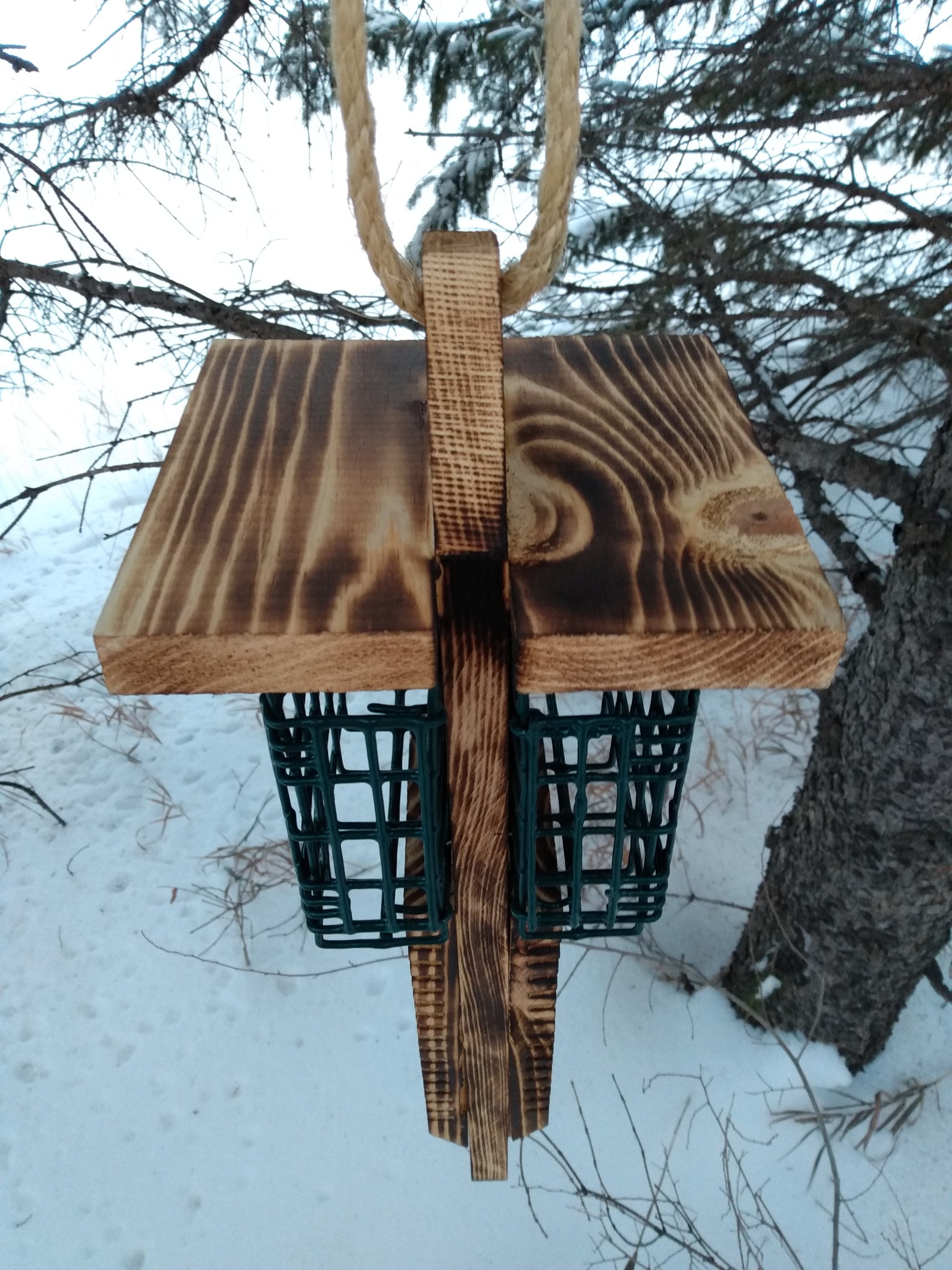 New Dual Sided Pileated Woodpecker Suet Feeder With Tail Prop Etsy