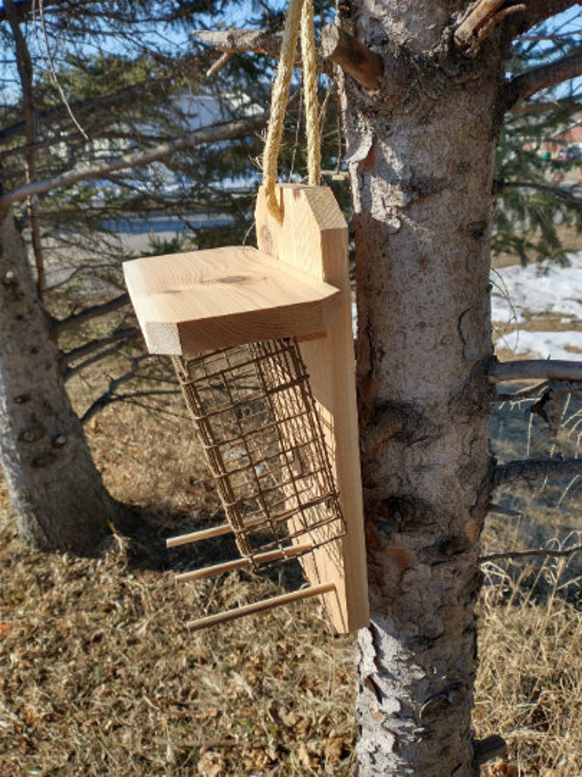 Extra Large Wide Suet Basket Bird Feeder Etsy