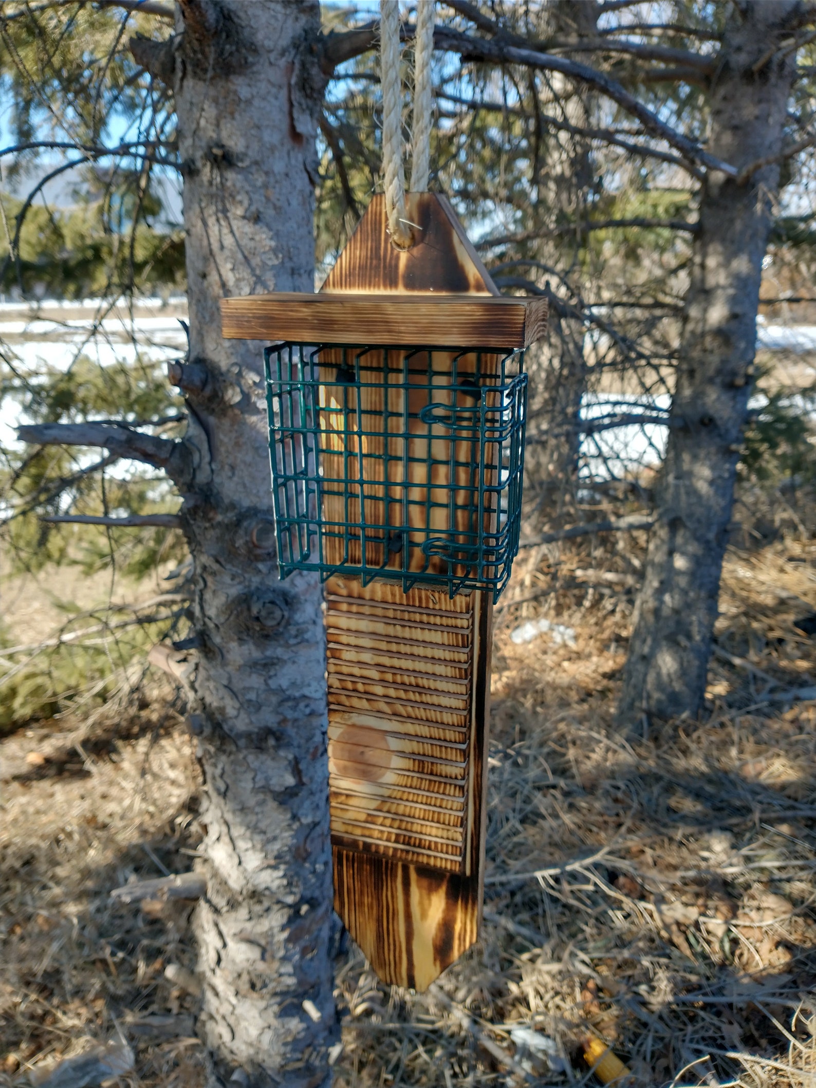 Single Sided Pileated Woodpecker Suet Feeder With Tail Prop Etsy