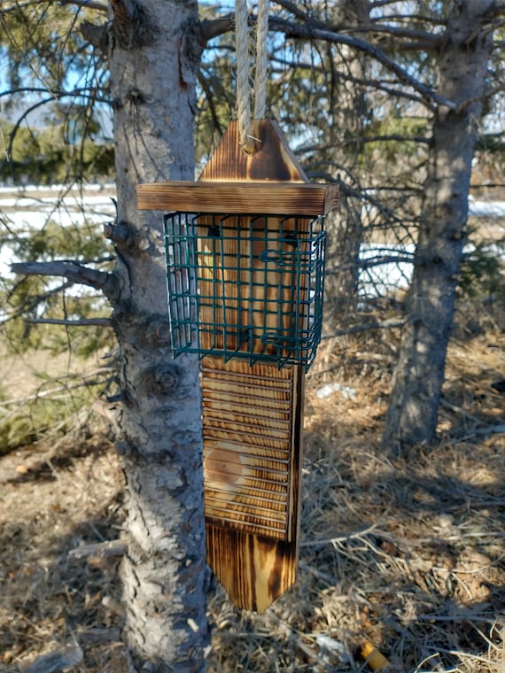 Single Sided Pileated Woodpecker Suet Feeder With Tail Prop Etsy