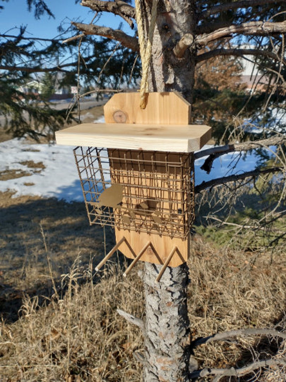 Extra Large Wide Suet Basket Bird Feeder Etsy