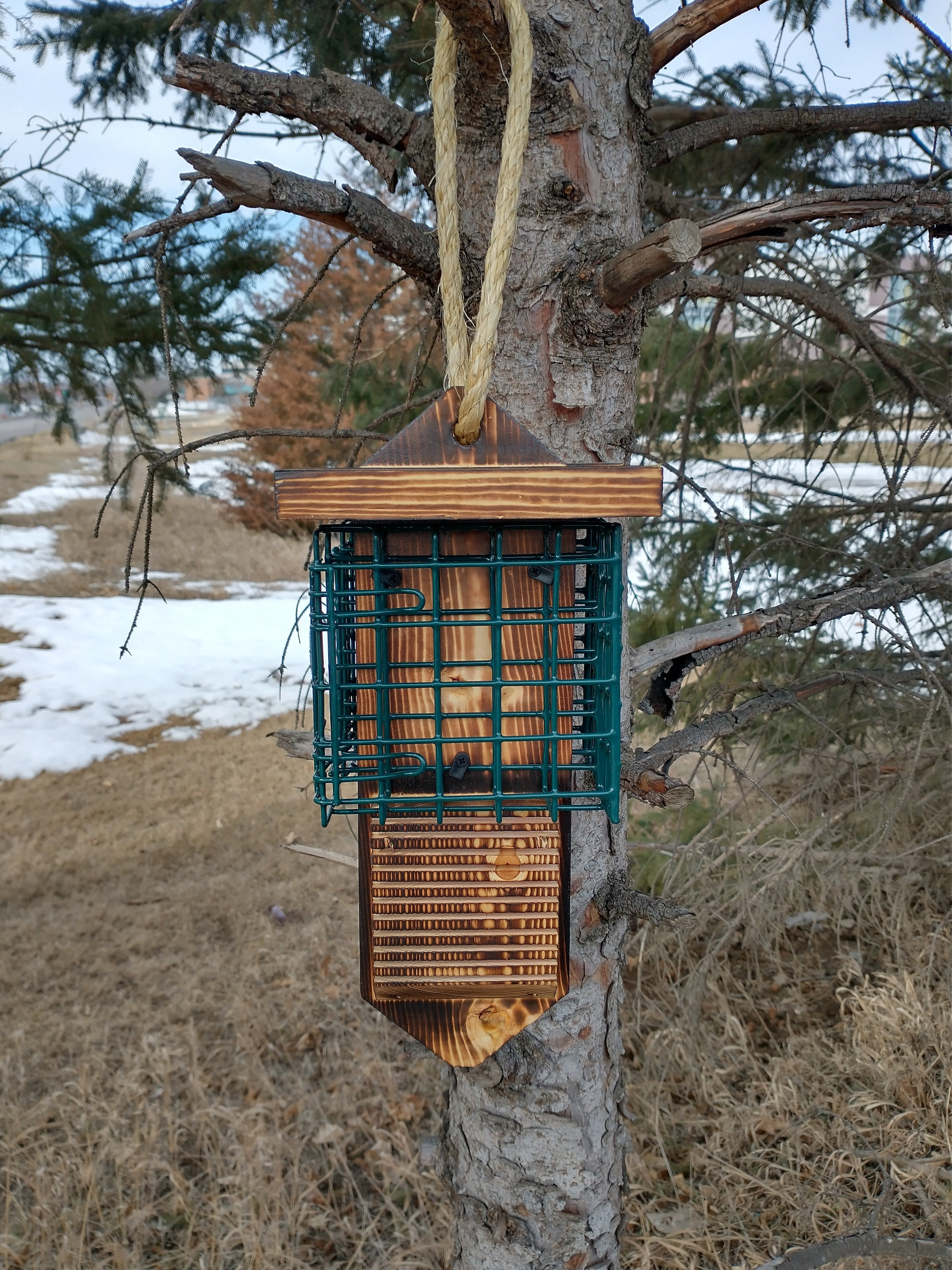 woodpecker suet feeder woodpecker suet feeder