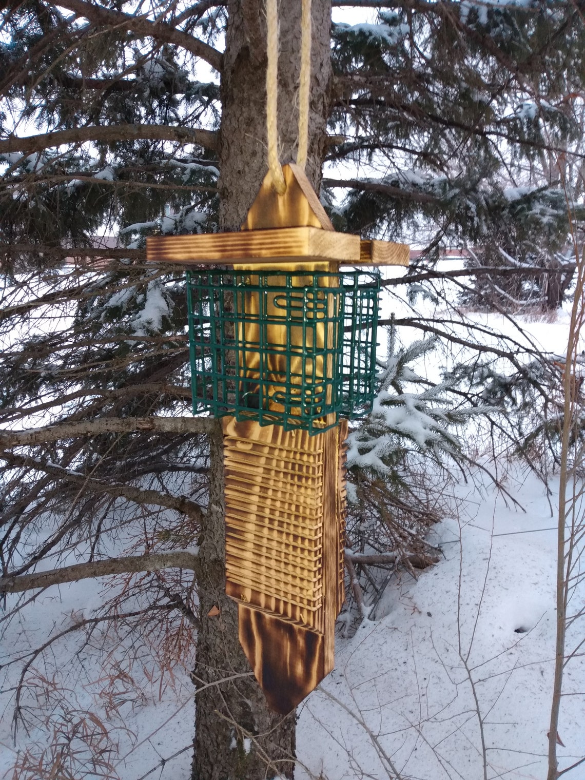 New Dual Sided Pileated Woodpecker Suet Feeder With Tail Prop Etsy