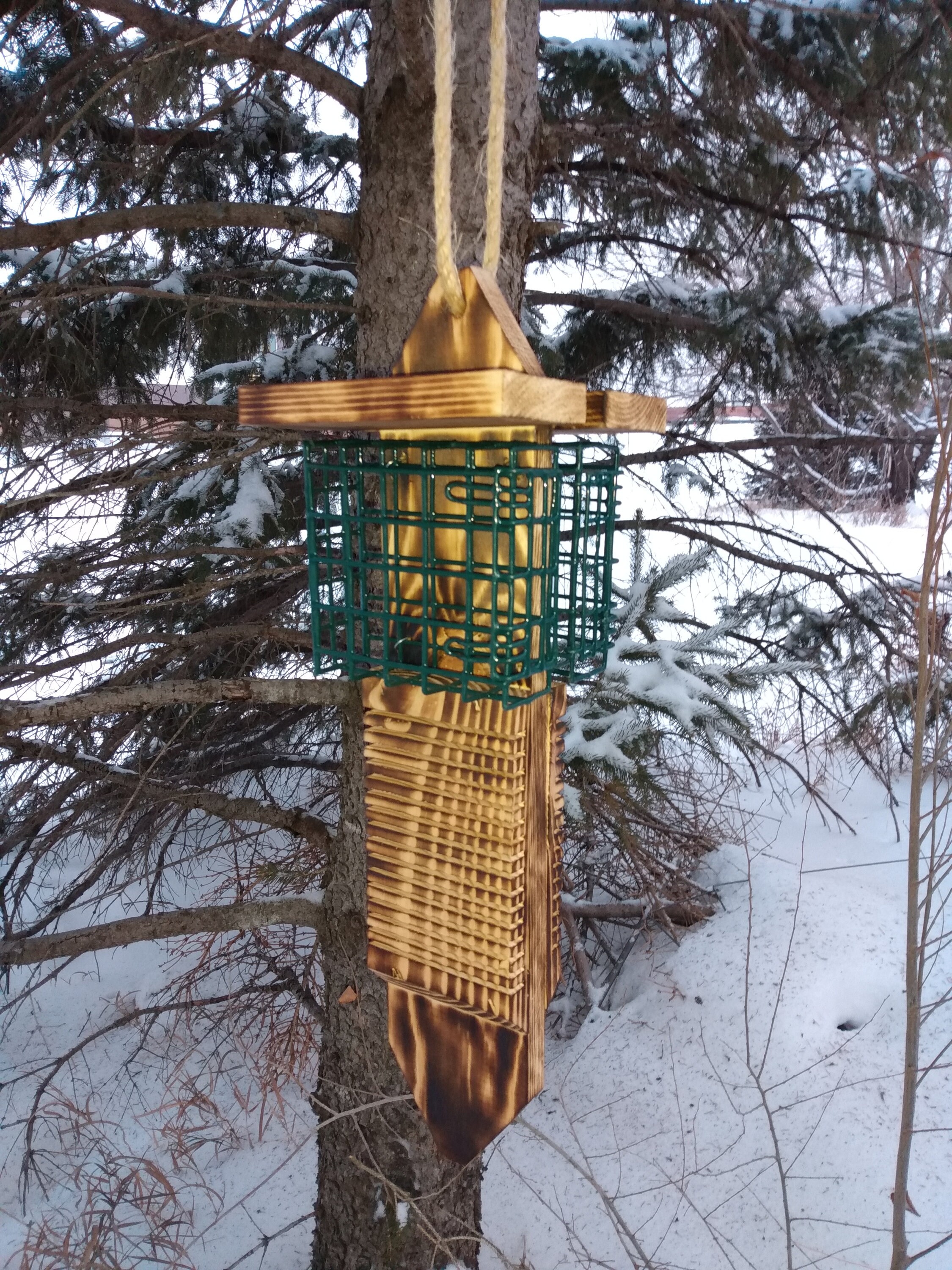New Dual Sided Pileated Woodpecker Suet Feeder With Tail Prop Etsy