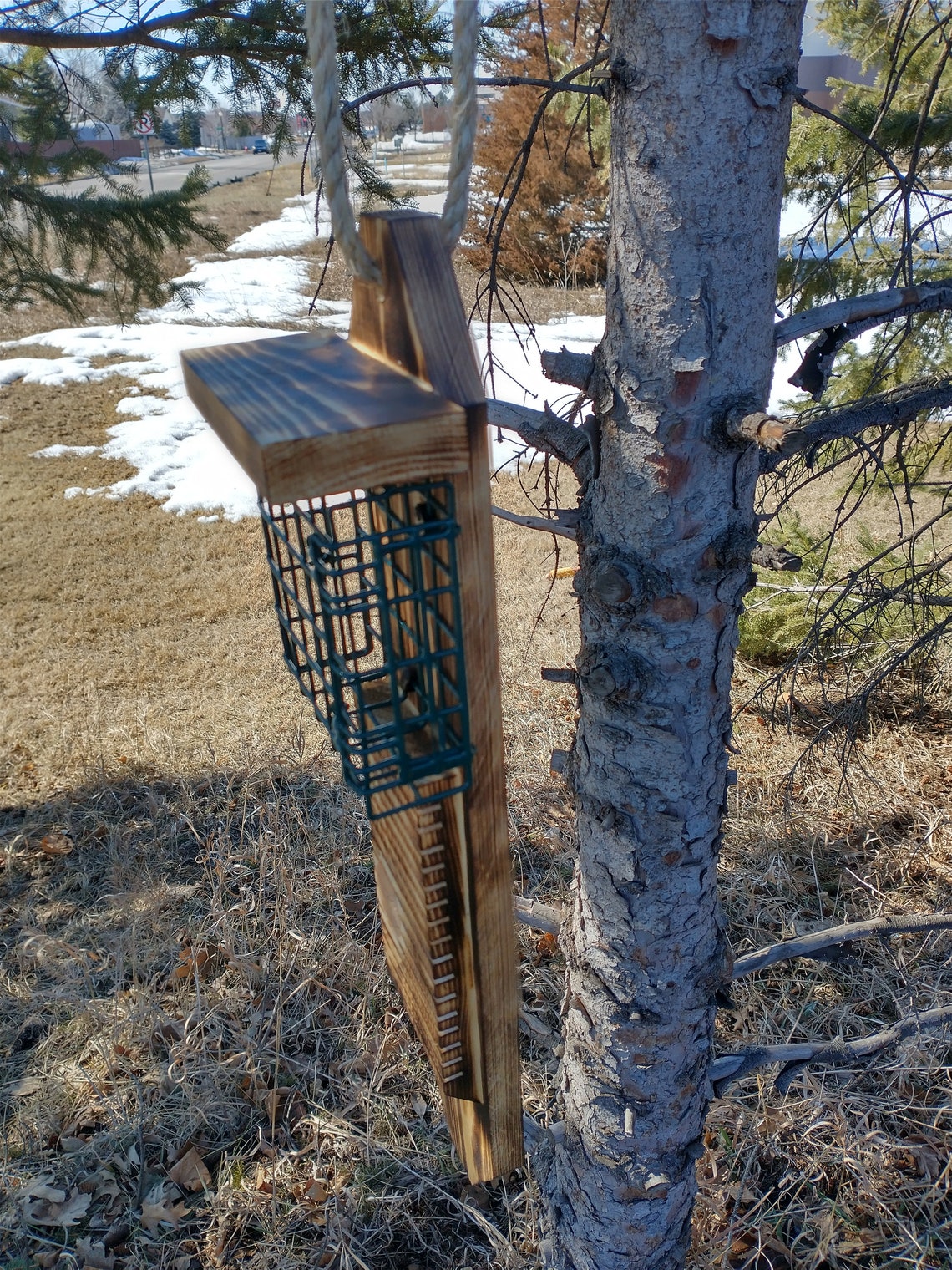 Single Sided Pileated Woodpecker Suet Feeder With Tail Prop Etsy