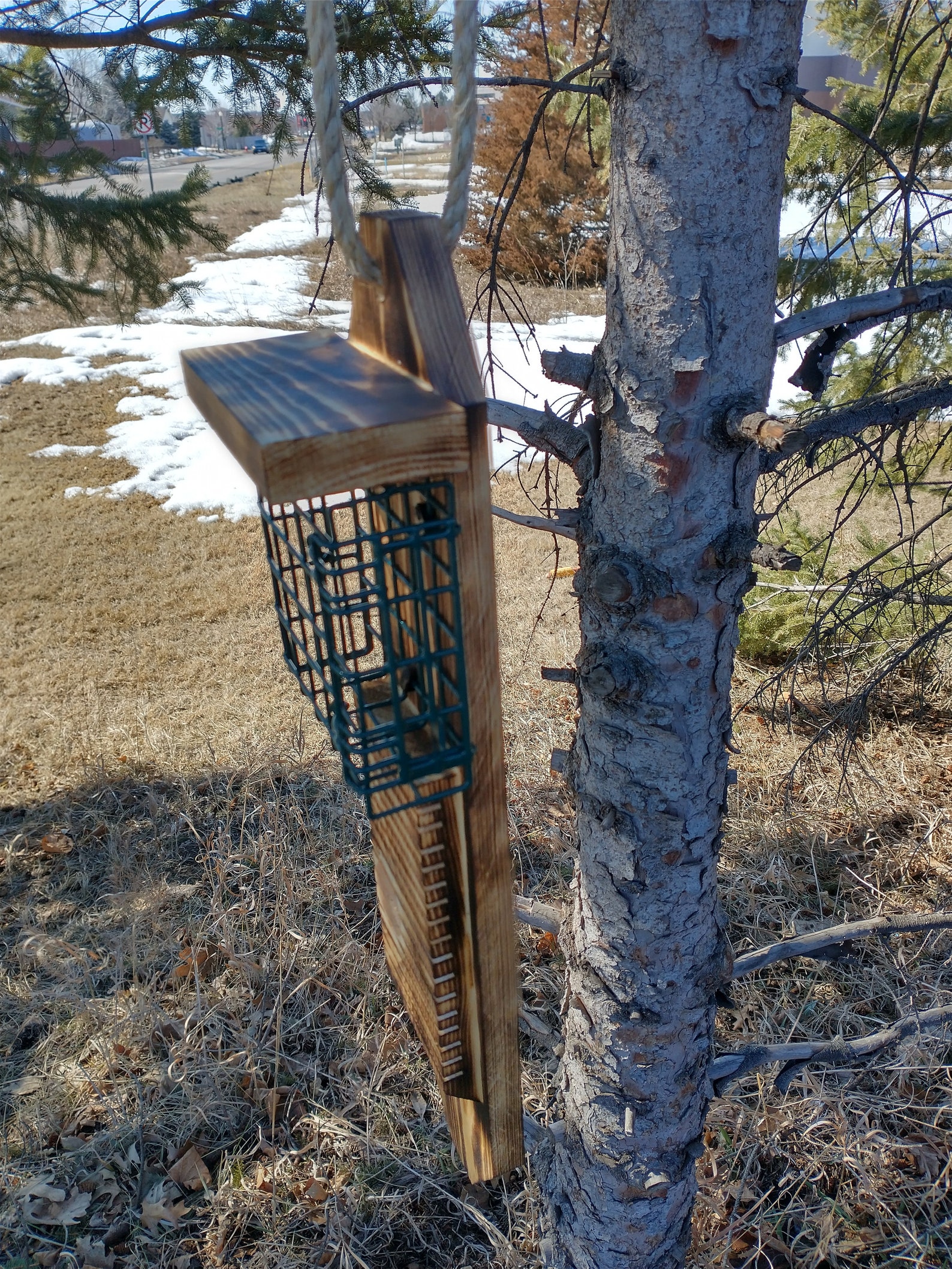 Single Sided Pileated Woodpecker Suet Feeder With Tail Prop Etsy