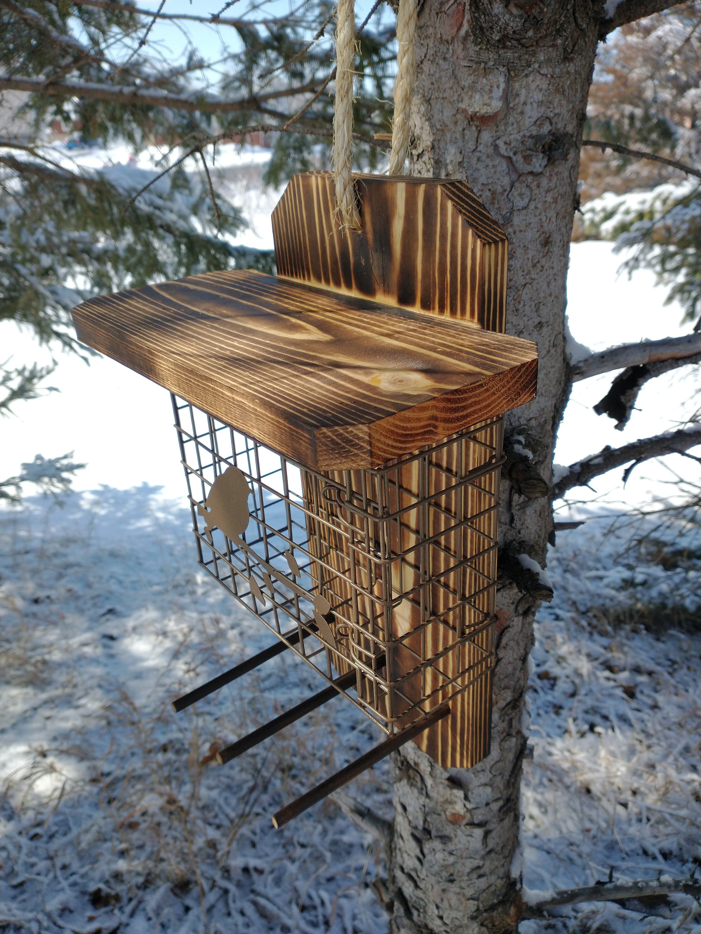 Extra Large Wide Suet Basket Bird Feeder Etsy