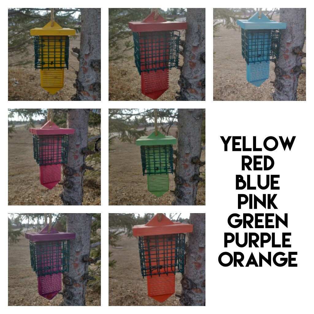 woodpecker suet feeder woodpecker suet feeder