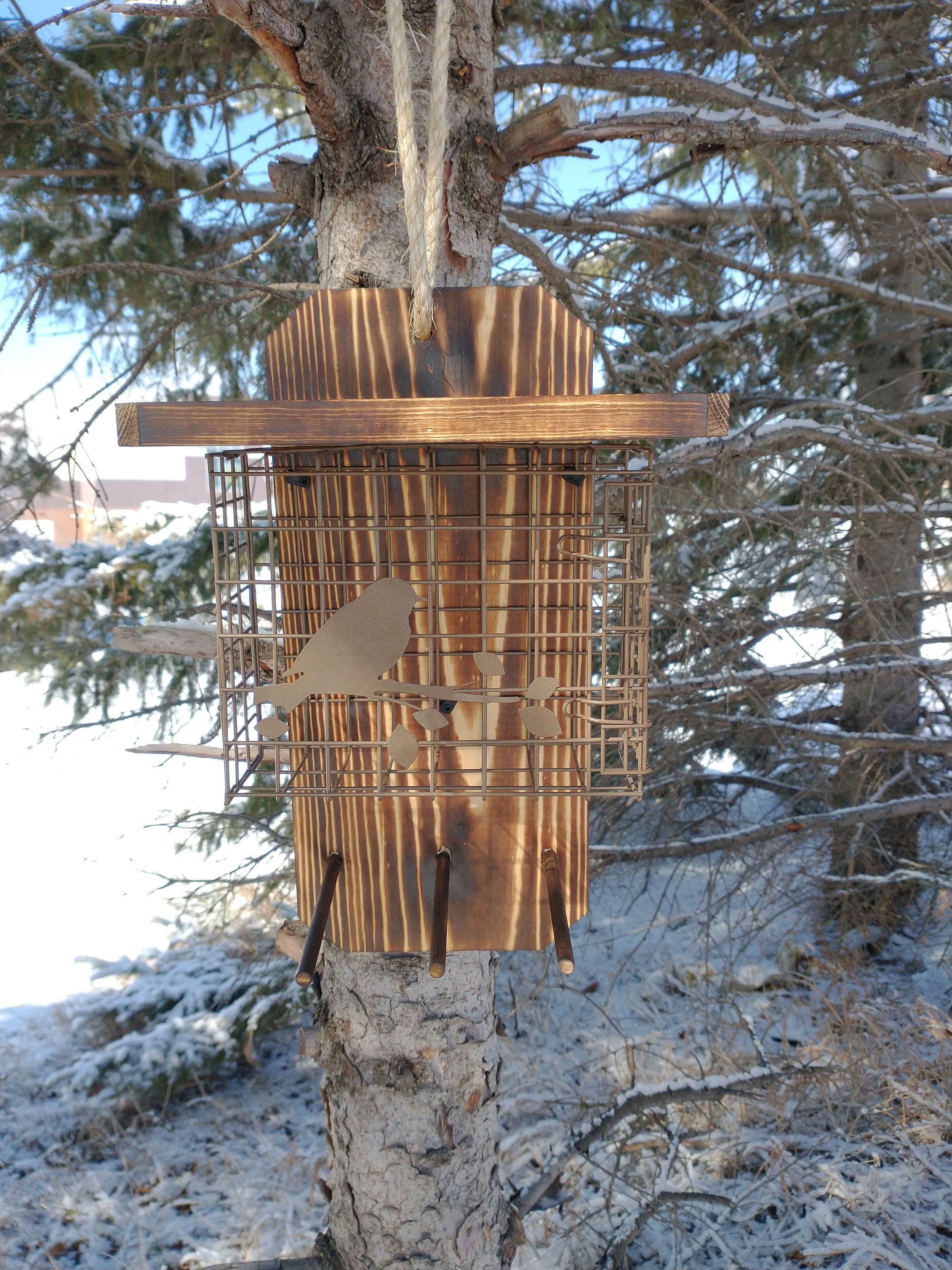 Extra Large Wide Suet Basket Bird Feeder Etsy