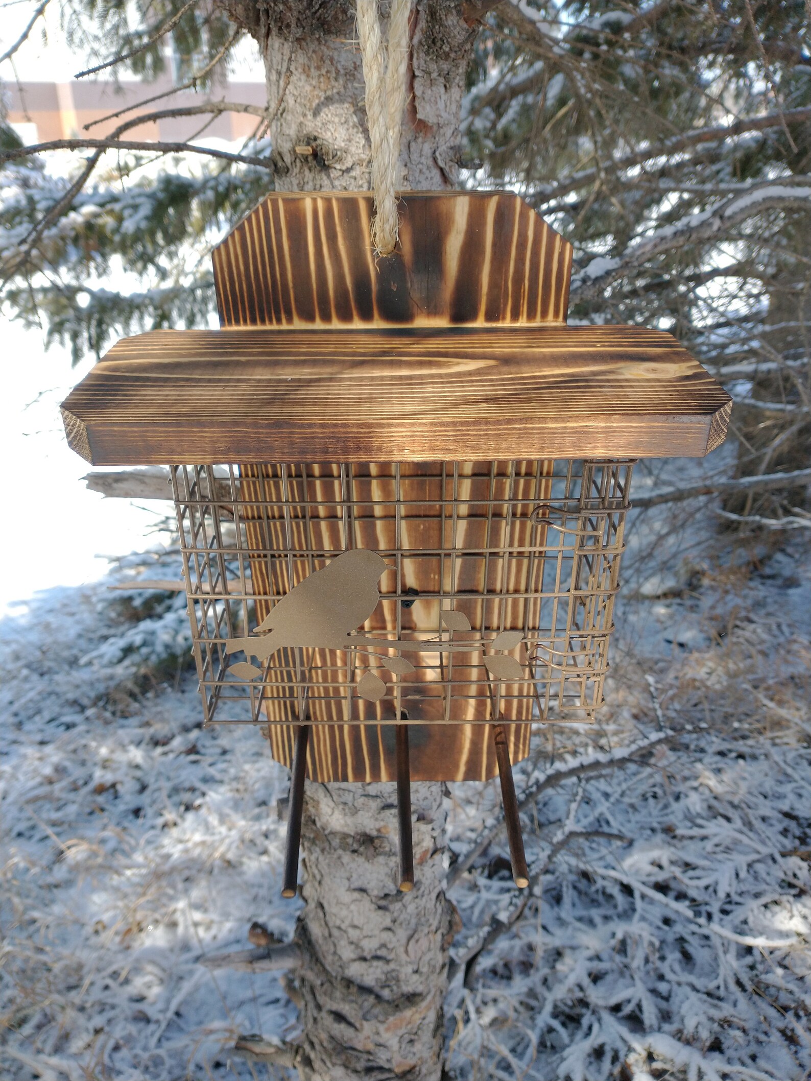 Extra Large Wide Suet Basket Bird Feeder Etsy