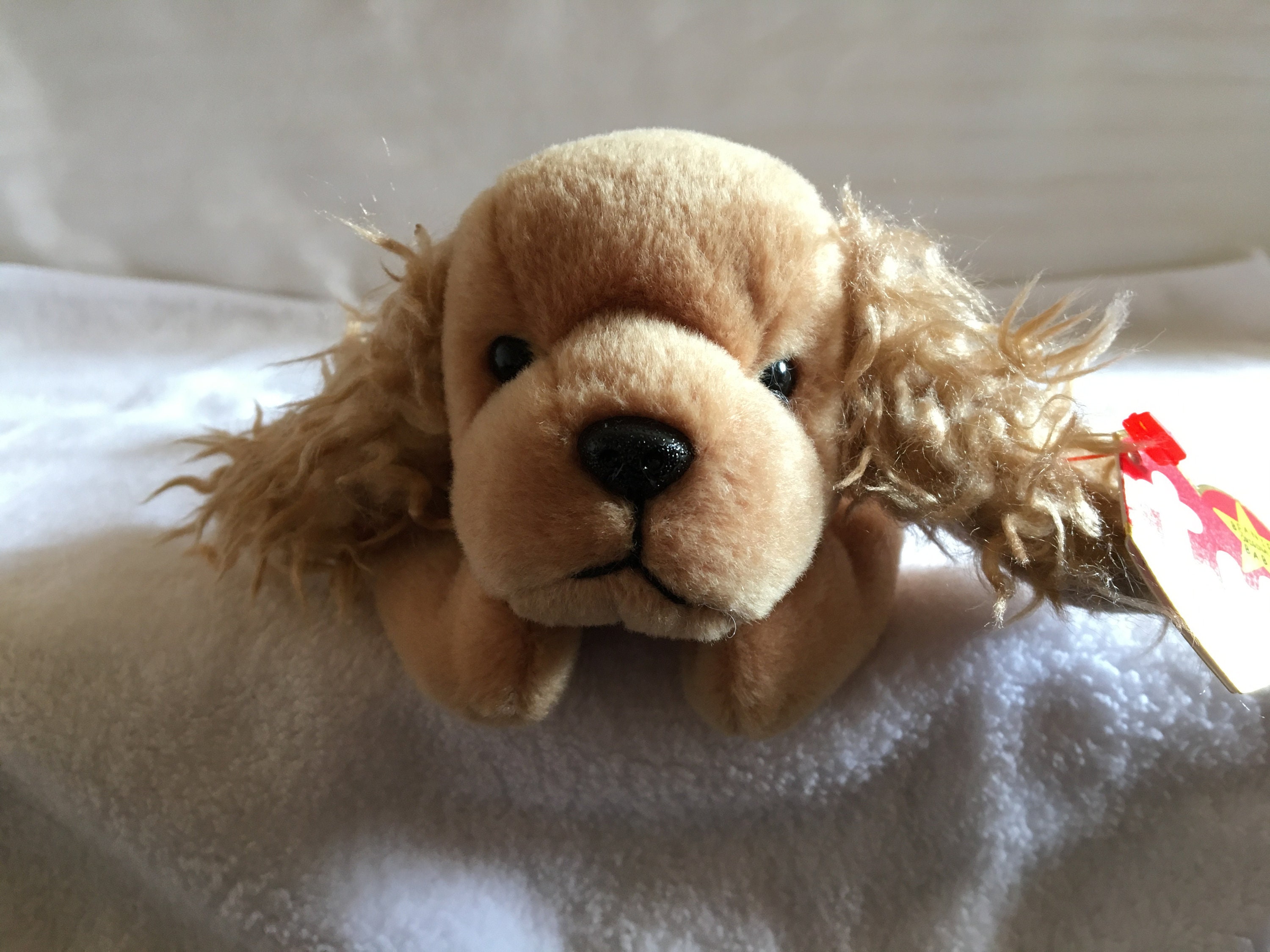 Rare 1997 TY SPUNKY the Cocker Spaniel Beanie Baby | Etsy