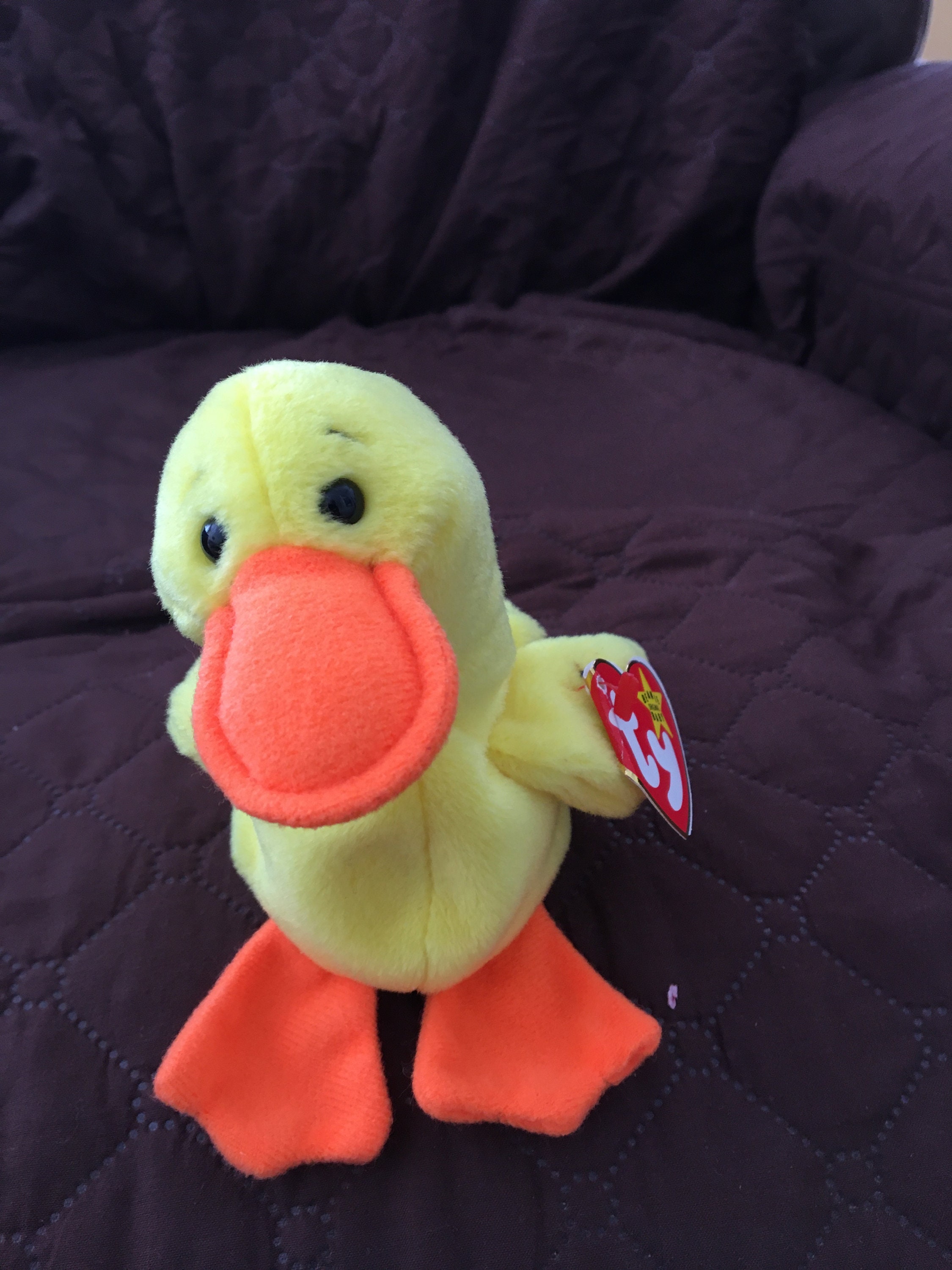 TY QUACKERS the Duck Beanie Baby Rare/Retired Etsy