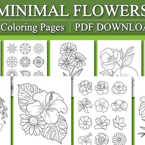 Adult Coloring Pages: Minimalist Flower Coloring Book | Basic Flower Coloring Pages (Printable, PDF Download)