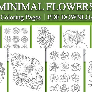 Adult Coloring Pages: Minimalist Flower Coloring Book Basic Flower Coloring  Pages printable, PDF Download 