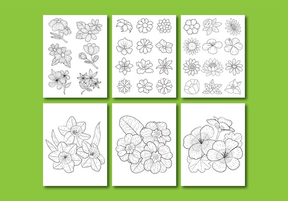 Adult Coloring Pages: Minimalist Flower Coloring Book Basic Flower Coloring  Pages printable, PDF Download 