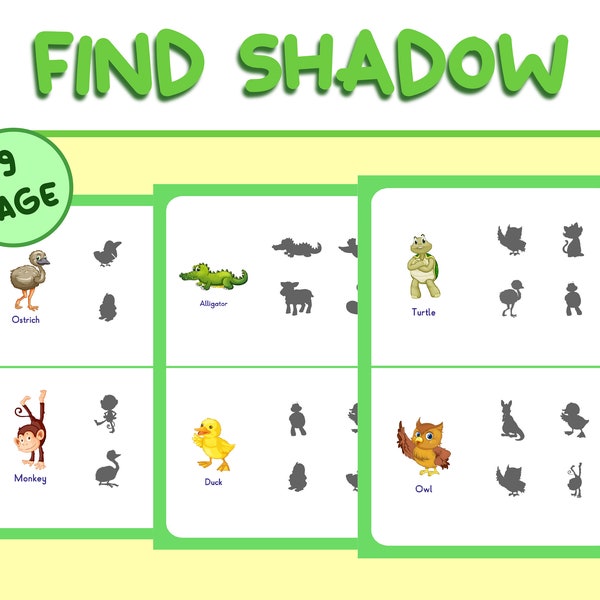 Find the Correct Shadow, Kids Learning Activity, Preschool Worksheets, Attention Worksheets, Learn Shapes DIGITAL DOWNLOAD