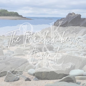 Journal Beachcomber | Journal imprimable sur la nature pour la pleine conscience, les reflets de promenades sur la plage et les trésors côtiers