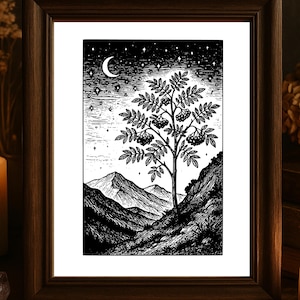 May include: Black and white art print of a tree with berries, set against a mountain landscape under a starry night sky and crescent moon. The artwork is framed in a dark wood frame.