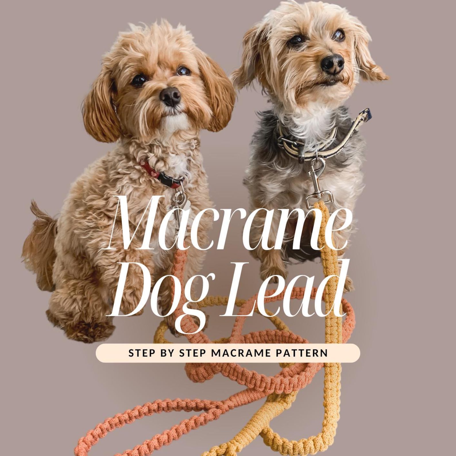 Leash Template.pdf Macrame Dog Lead PDF Pattern – DIY Dog Leash Tutorial | Digital PDF ...
