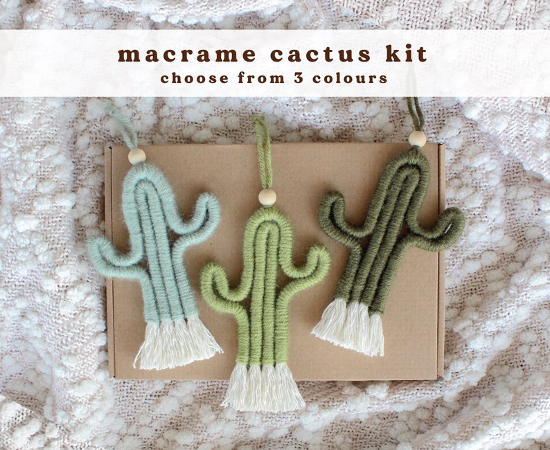 Make Your Own Mini Macrame Cactus Craft Kit Craft Kit craft image 1
