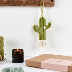 Make Your Own Mini Macrame Cactus Craft Kit image 3