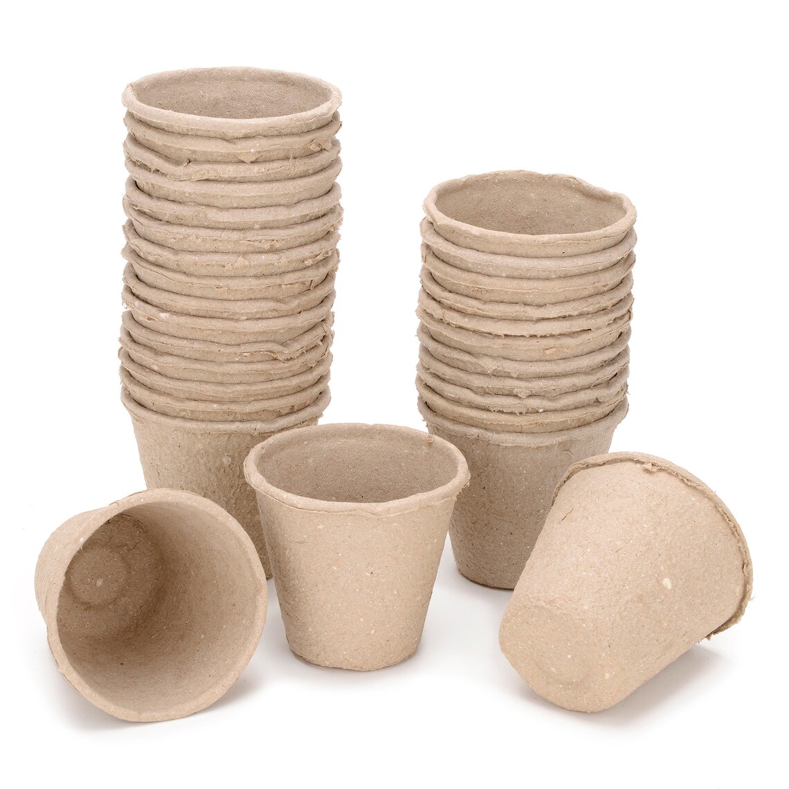 50 x 8cm Round Biodegradable Seed Pots in Plastic Free Etsy