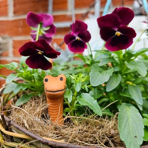 May include: A hanging basket overflowing with deep purple and burgundy pansies. A terracotta worm-shaped garden ornament sits amongst the flowers and foliage. The basket is made of woven branches and lined with natural fibres, creating a charming garden scene.