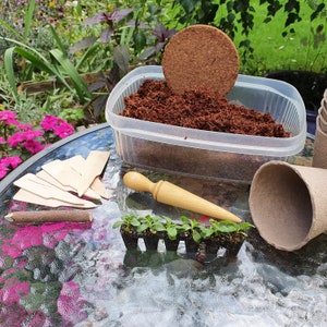 May include: A selection of gardening equipment on a glass table. The image shows a clear plastic container with brown soil, a wooden tamper, plant labels, and small seedlings in a black tray. There are also paper pots and a round brown disc.