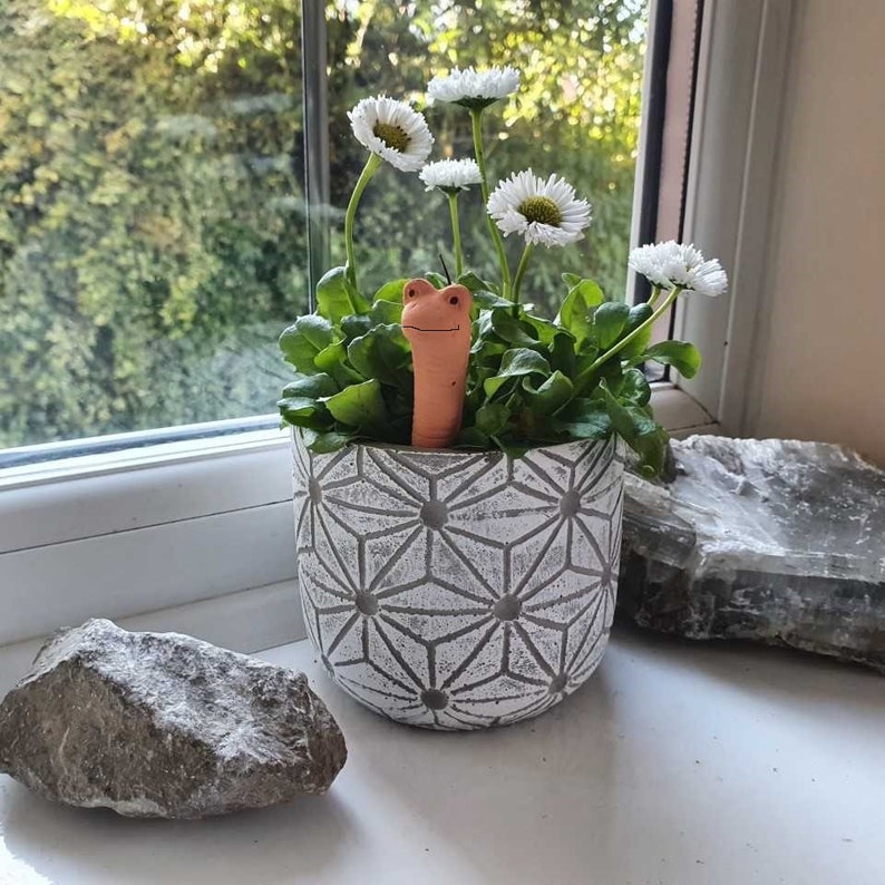 Willy Worm Water Sensor Extra SmilingMini Lets You Know When Plants Need Watering Fun & Practical Gift for Gardeners Terracotta 10cm image 5