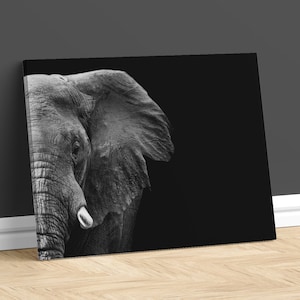 African Elephant Canvas Print Black and White Photography Art Wild Animal Artwork