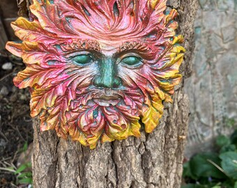 Mr Sunshine Tree Face | Men of The Forest