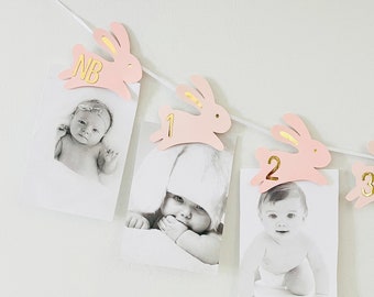 Bunny Photo Banner, Some Bunny is One, Bunny First Birthday Banner, Photo Banner Spring First Birthday