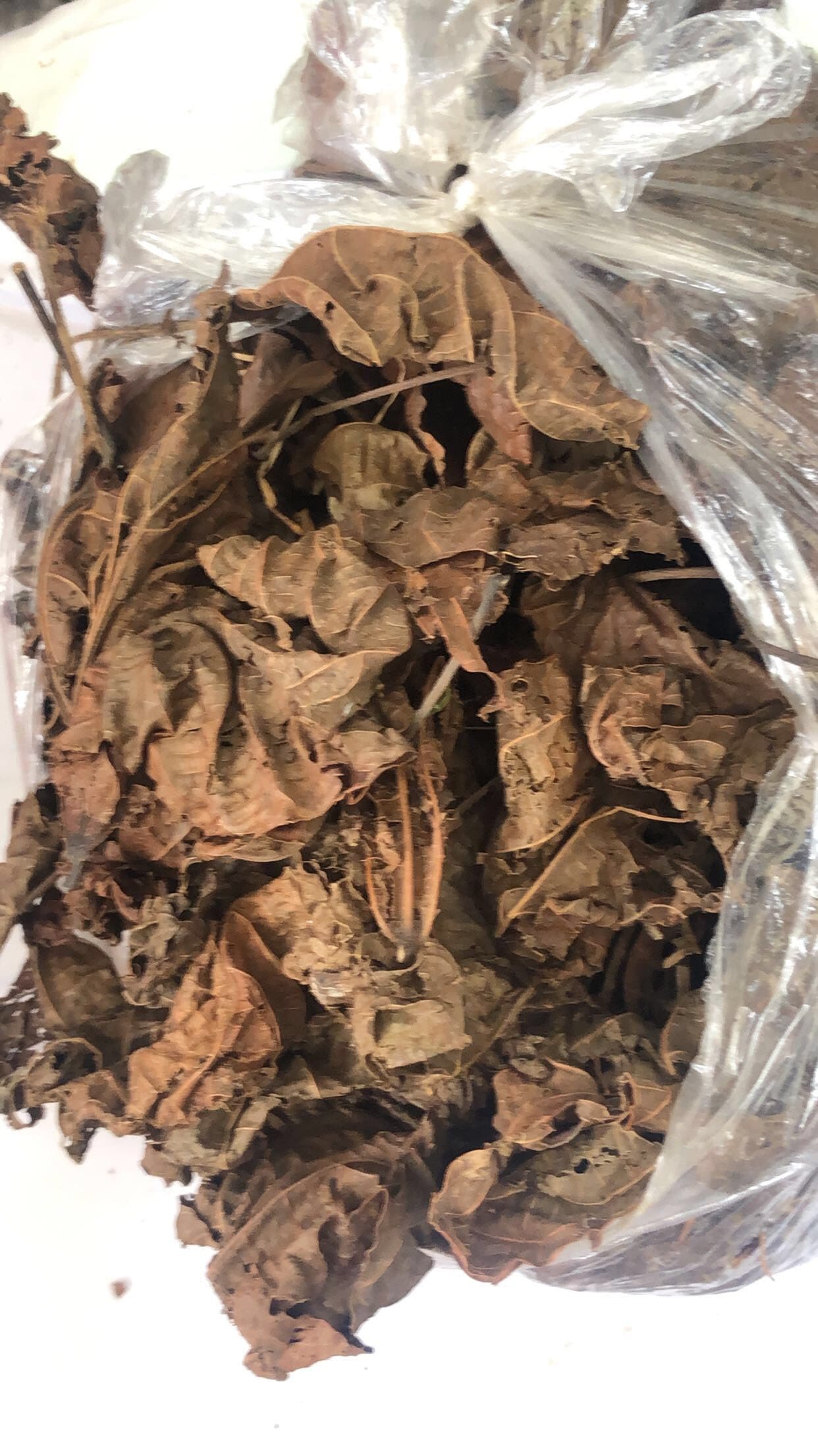 can you exchange tobacco products Learn How to File the DC Cigarette Wholesaler Reports and the Tobacco  Products Excise Tax Return at MyTax.DC.gov