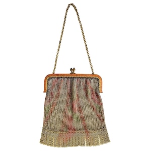 Antique Art Deco Frame Painted Mesh Chainmail Fringe Flapper Handbag Purse
