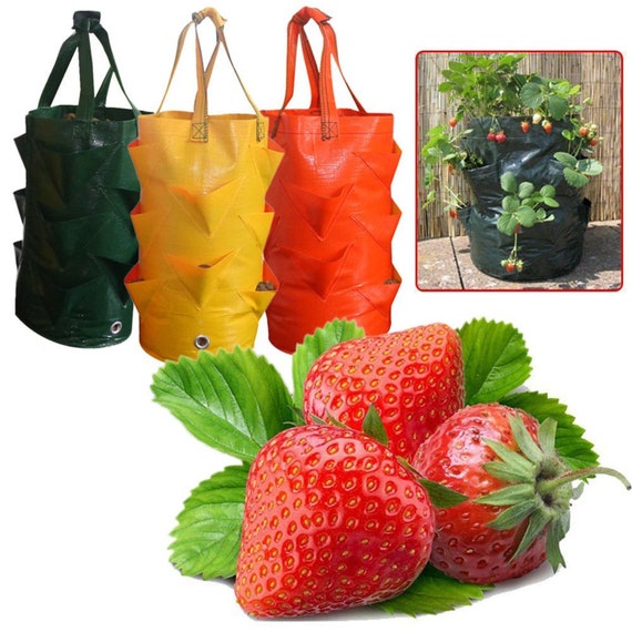 2X Fabric Hanging Planter Grow Bag Flower Strawberries Garden Planting Container 