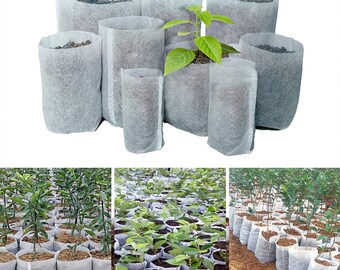 AAAmercantile 100 Pack Of 2 Inch Pots For Starting Seedlings 2 Square Durable Reusable Plastic Starter