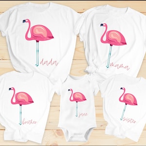 Flamingo birthday shirt, flamingo family shirts, birthday girl flamingo shirt, first birthday outfit, baby girl birthday, baby girl