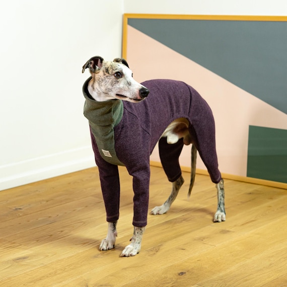 Whippet jumpsuit Outlet