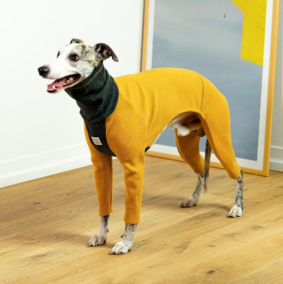 Whippet jumpsuit Outlet