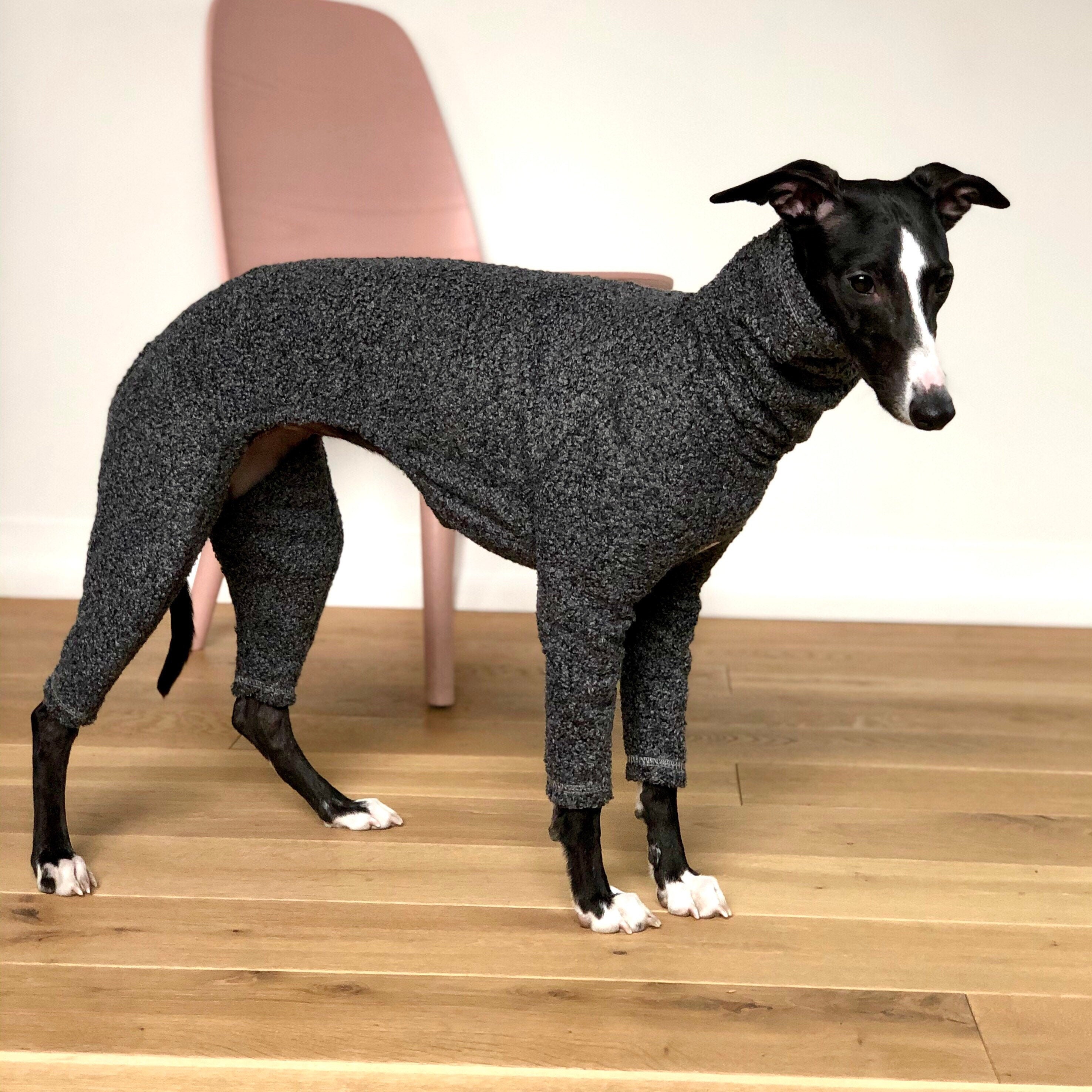 Pajamas for Greyhound Whippet / Dog Sweater with long sleeves Etsy