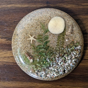 May include: A round, clear resin coaster with a beach theme. The coaster features sand, seashells, a starfish, and a small fern.